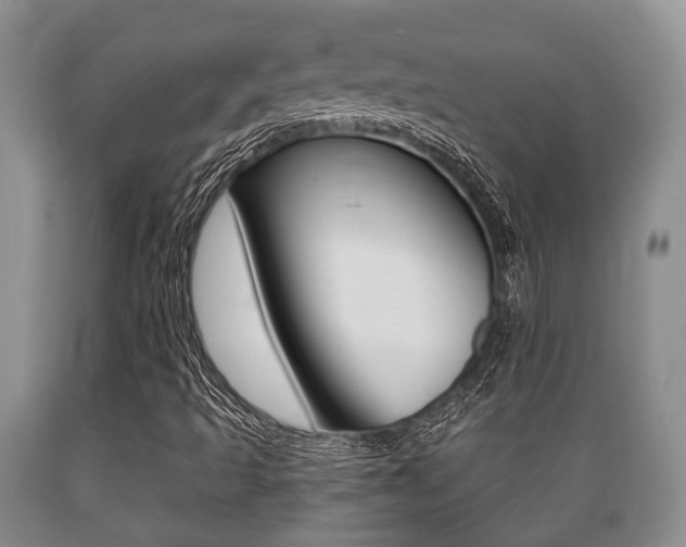 X0000089721493200706210841