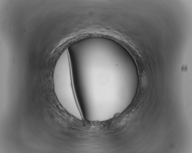X0000089721494200706210841