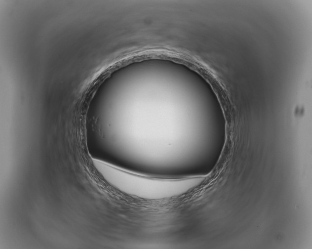 X0000089721496200706210841