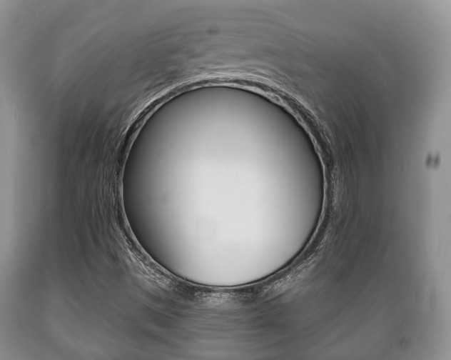 X0000089721497200706210841