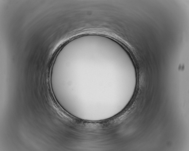 X0000089721498200706210841
