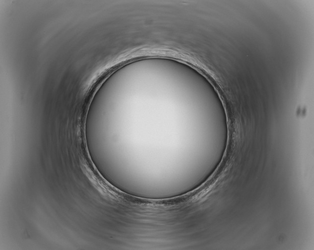 X0000089721499200706210841