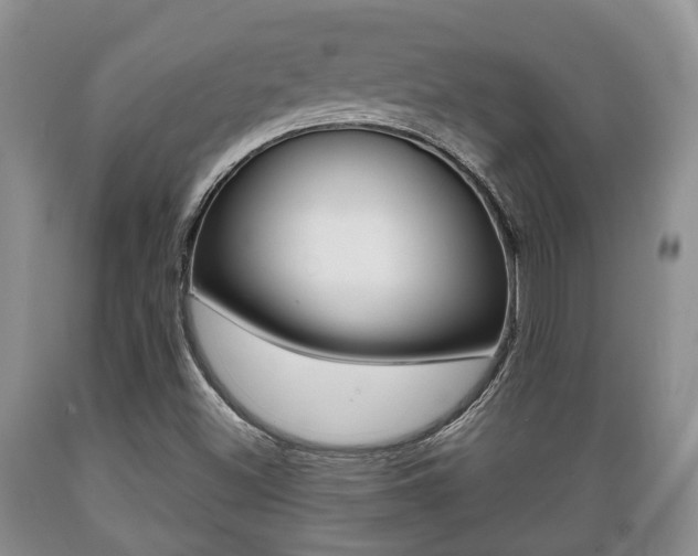 X0000089721500200706210841