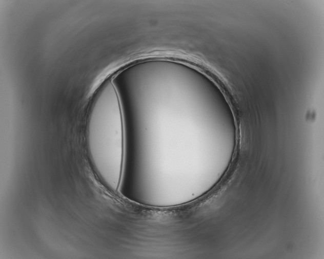 X0000089721501200706210841