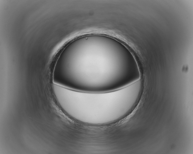 X0000089721502200706210841