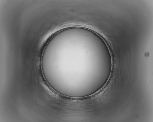 X0000089721503200706210841