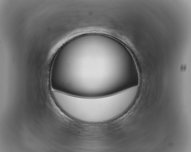 X0000089721504200706210841