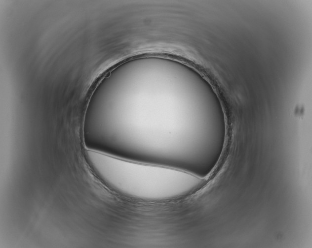 X0000089721505200706210841