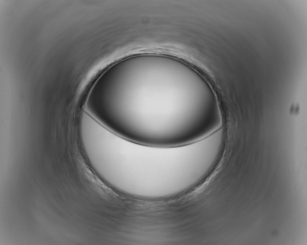 X0000089721506200706210841