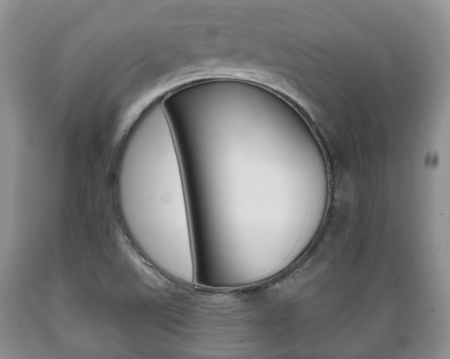 X0000089721507200706210841