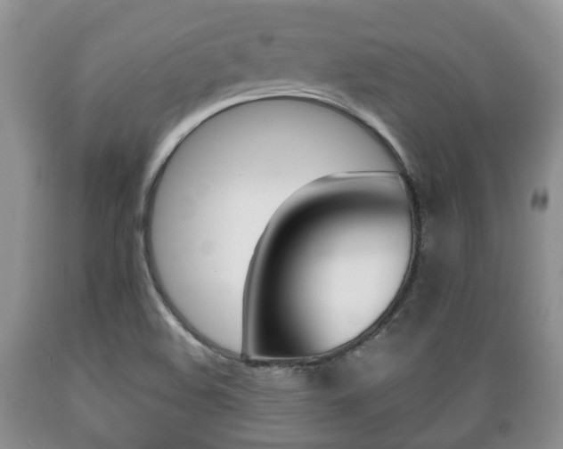 X0000089721508200706210841