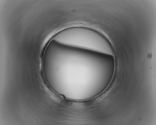 X0000089721509200706210841