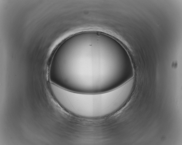 X0000089721510200706210841