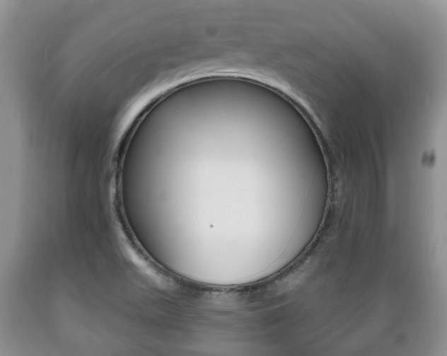 X0000089721511200706210841