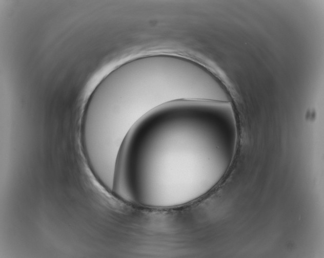 X0000089721512200706210841