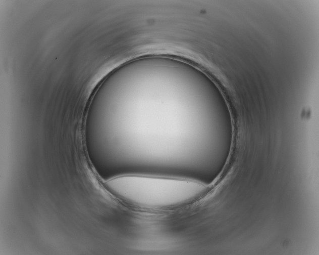 X0000089721513200706210841
