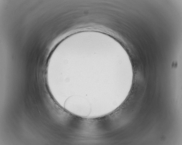 X0000089721514200706210842