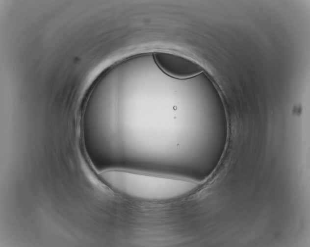 X0000089721515200706210842