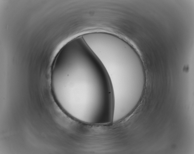 X0000089721516200706210842