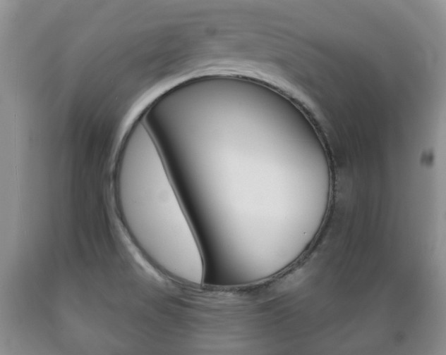 X0000089721517200706210842