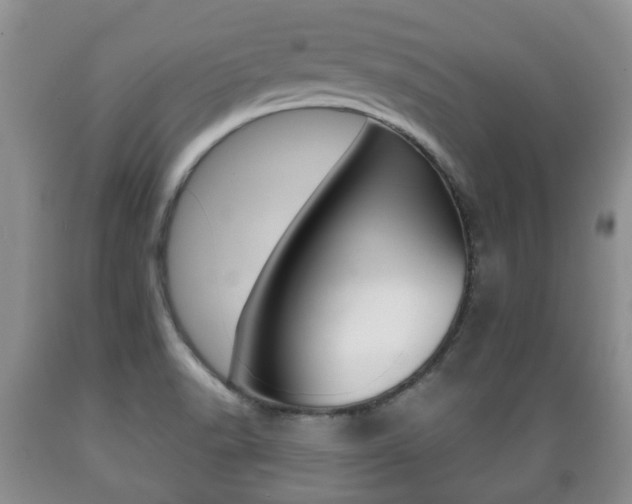 X0000089721518200706210842