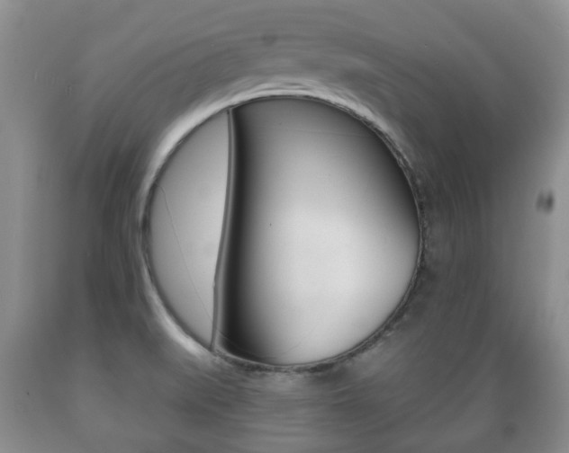 X0000089721519200706210842