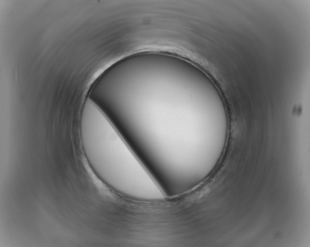 X0000089721521200706210842