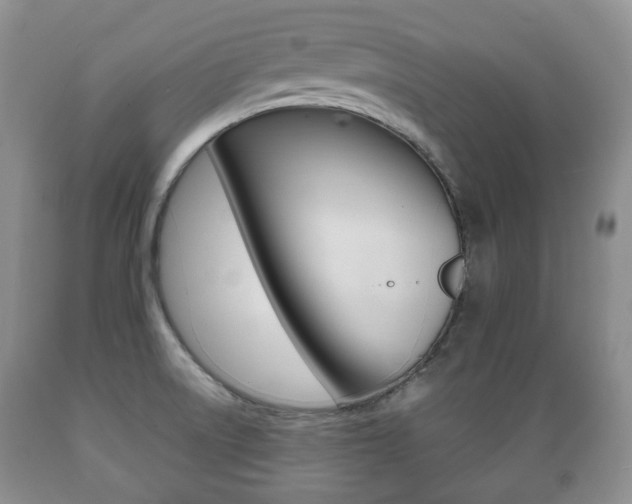 X0000089721522200706210842