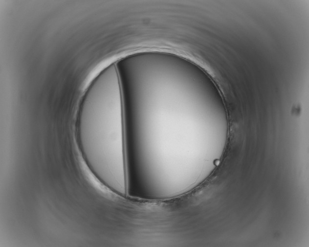 X0000089721523200706210842