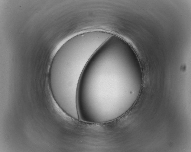 X0000089721524200706210842