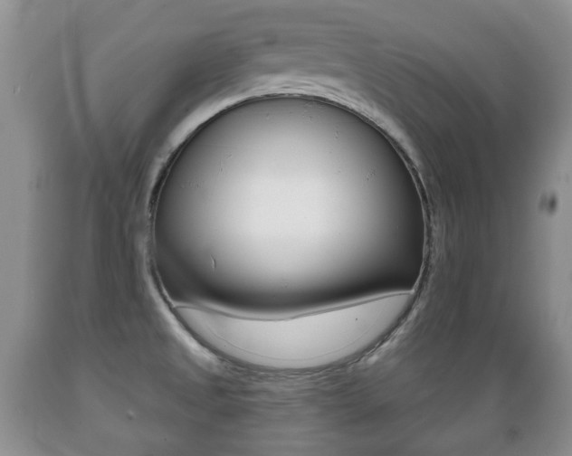 X0000089721525200706210842