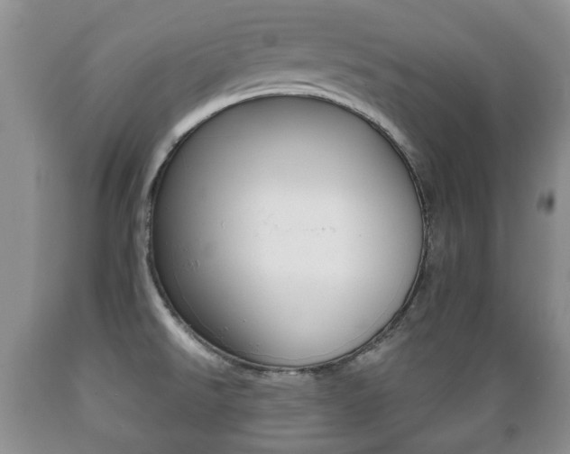 X0000089721526200706210842