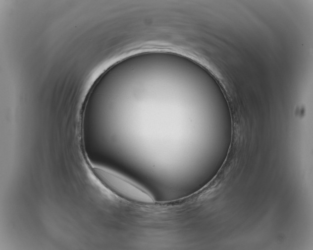 X0000089721527200706210842