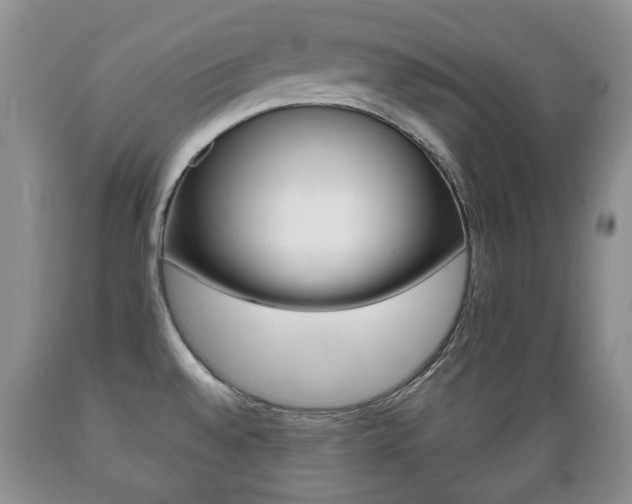 X0000089721528200706210842