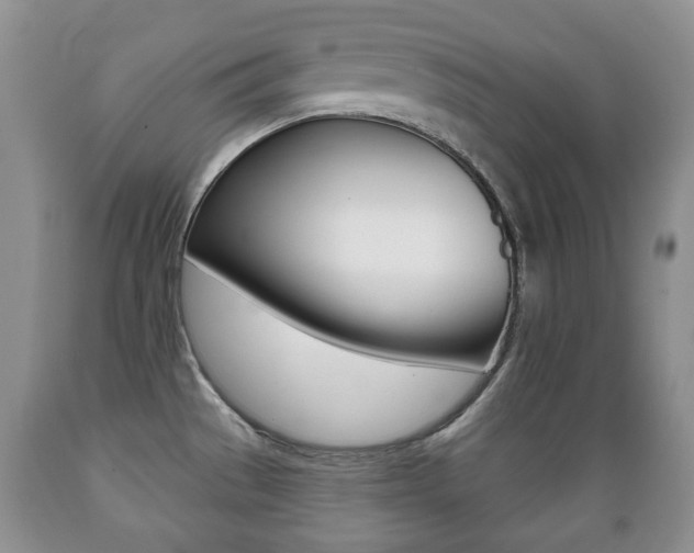 X0000089721529200706210842