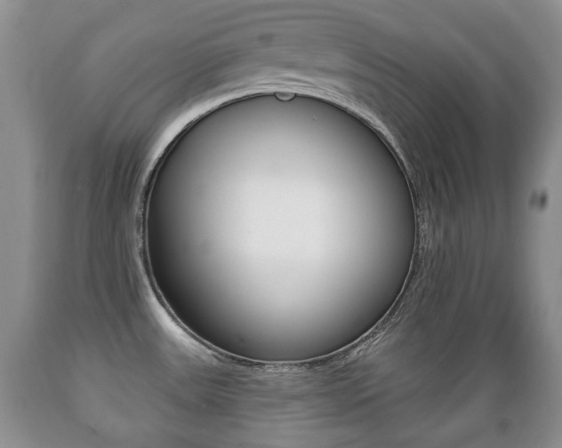 X0000089721531200706210842