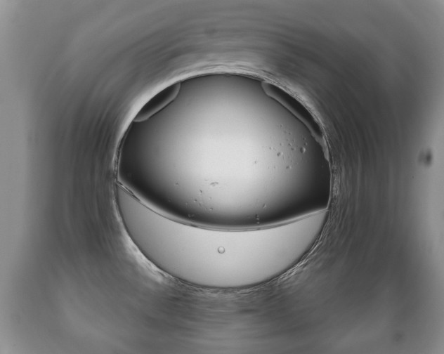 X0000089721532200706210842