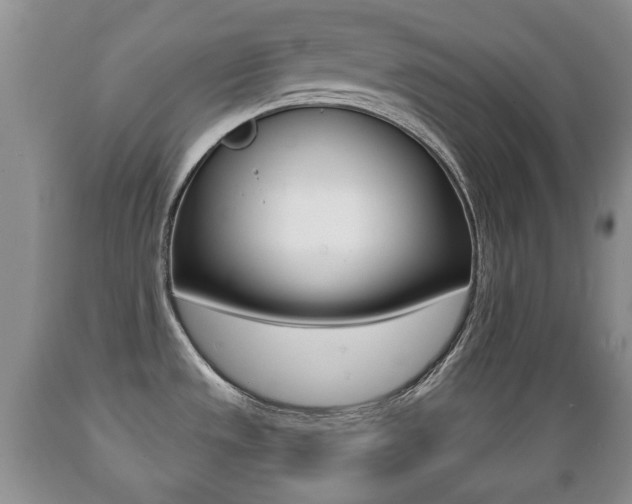 X0000089721533200706210842