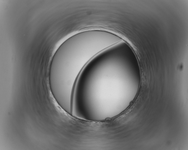 X0000089721534200706210842