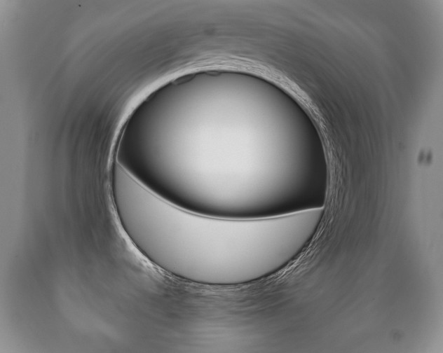 X0000089721536200706210842