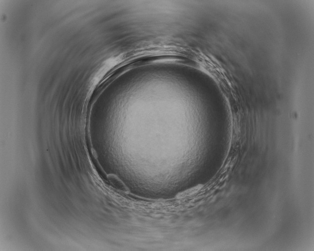 X0000089720003200706211420