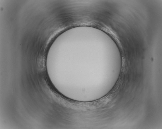 X0000089720012200706211420