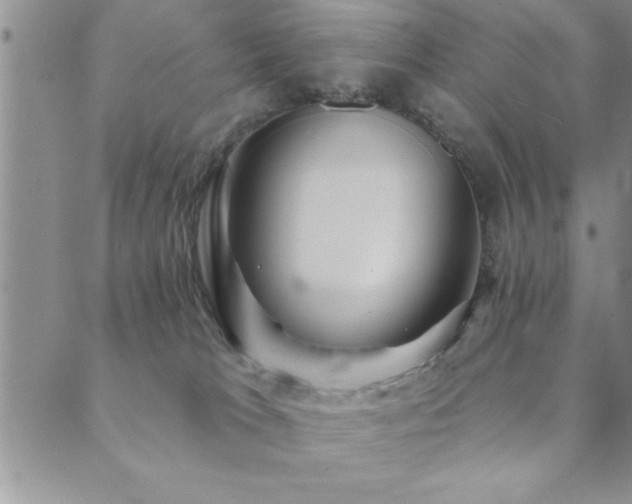 X0000089720037200706211420