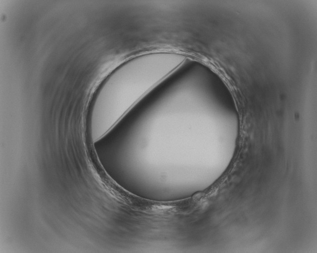 X0000089720055200706211419