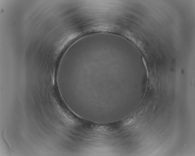 X0000089720062200706211419