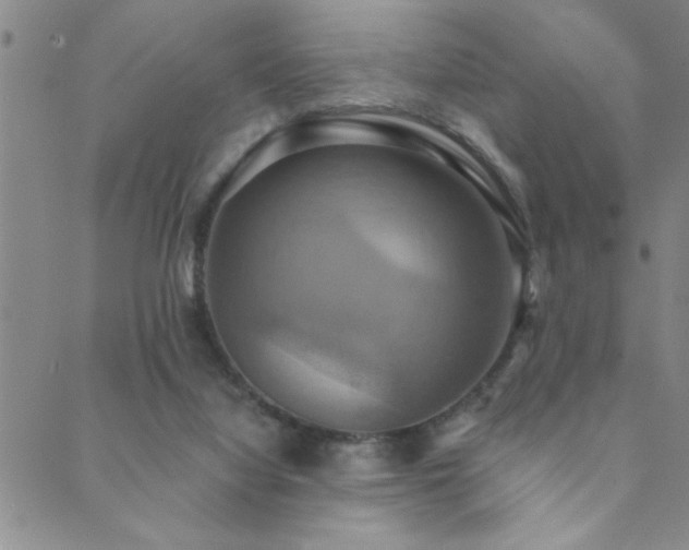 X0000089720068200706211419