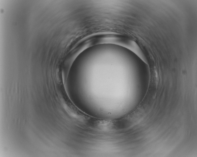 X0000089720088200706211419