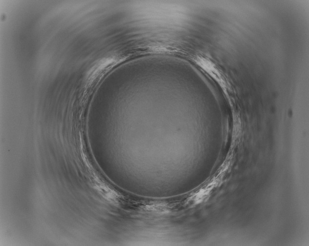 X0000089720097200706211419