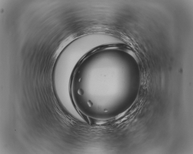 X0000089720099200706211419