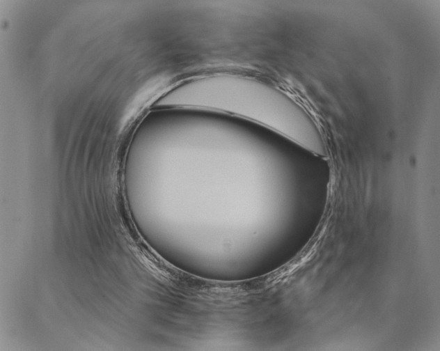 X0000089720101200706211419